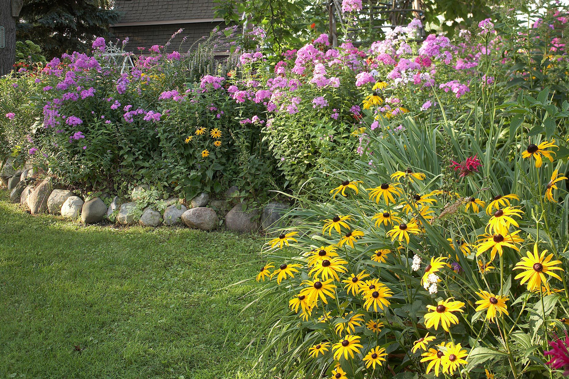 A Blooming Guide to Flower Bed Weed Care